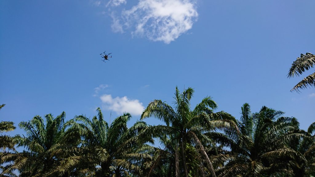 A drone equipped with an LCTF camera flies over an oil palm plantation in Malaysia as part of a joint project with Hokkaido University.