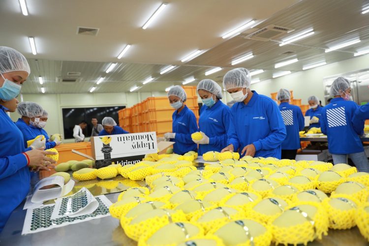 Sanshu Sangyo Co. contributes to food safety with equipment that is indispensable for quarantine inspections on fruit before it is shipped from its country of origin.